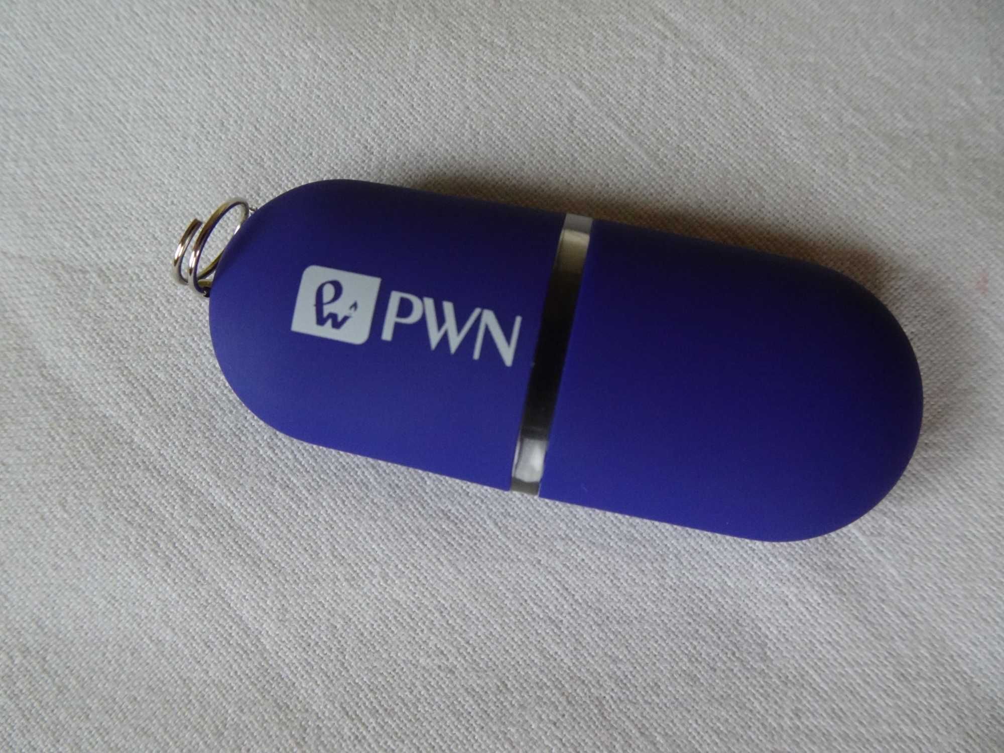 Wielki słownik naukowo-techniczny angielsko polski WNT pendrive