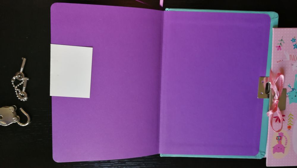 A ESTREAR I Diários/ Bloco notas Acessorize Gatos/Coruja