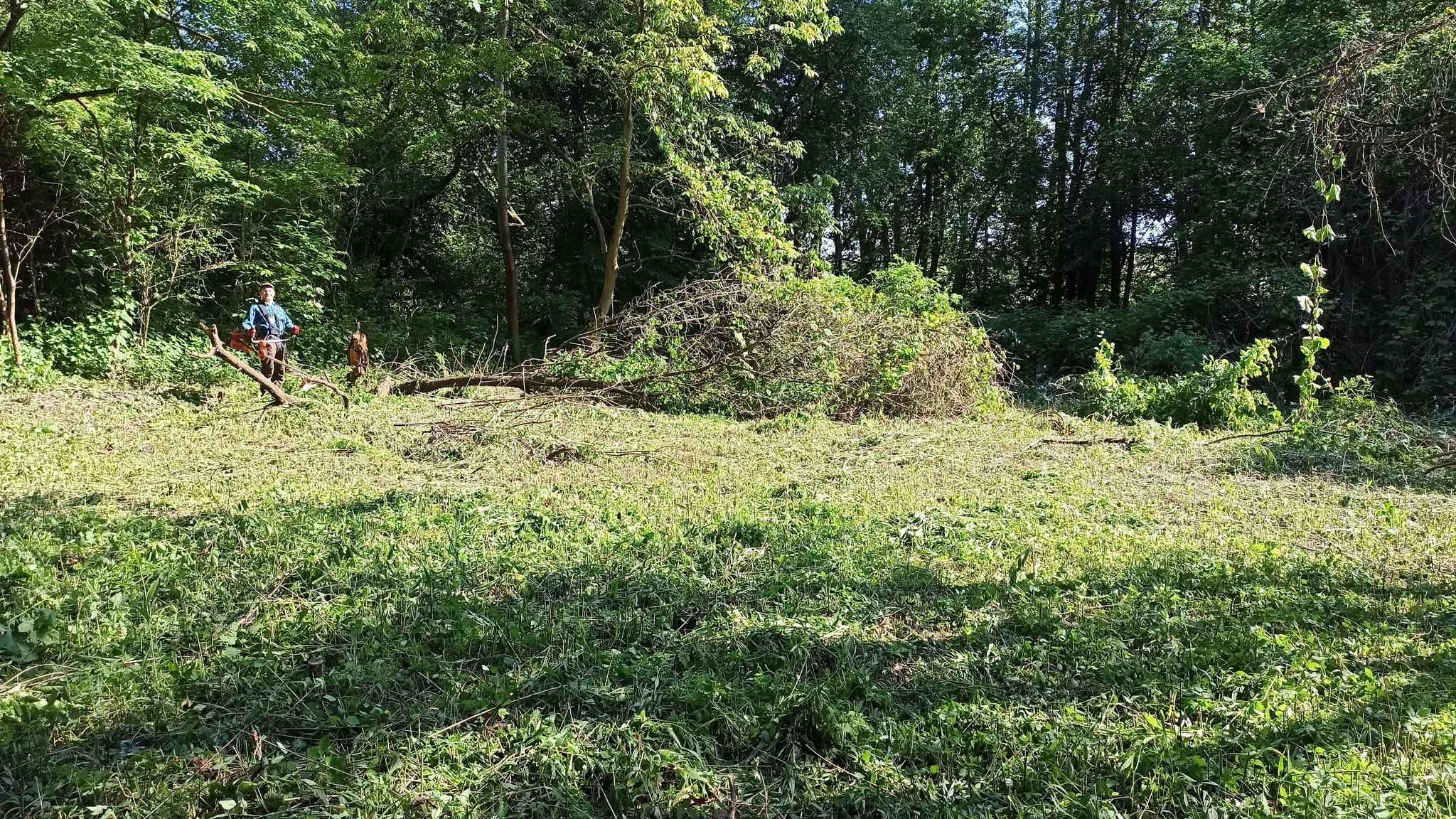 Wycinka i pielęgnacja drzew, czyszczenie działek, ogrody