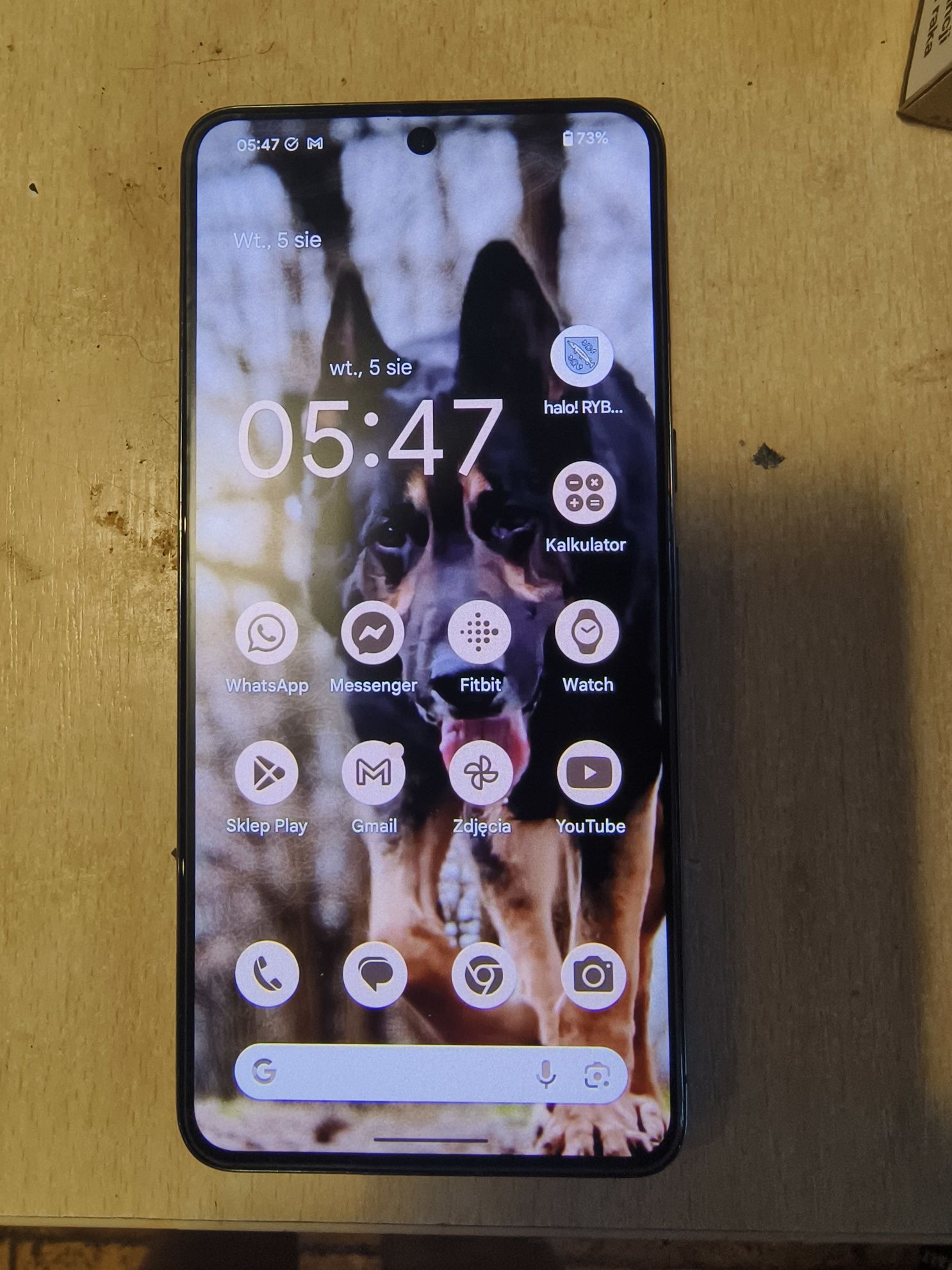 Google Pixel 8 pro + Google Watch