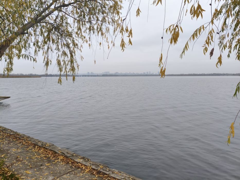 Сдам шикарный дом на левом берегу