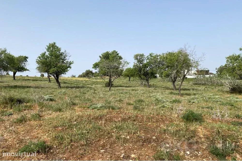 Terreno Rústico em Quelfes, Algarve