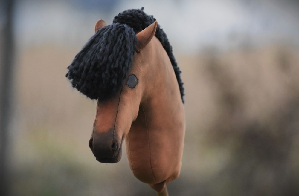 Hobby horse by aternon