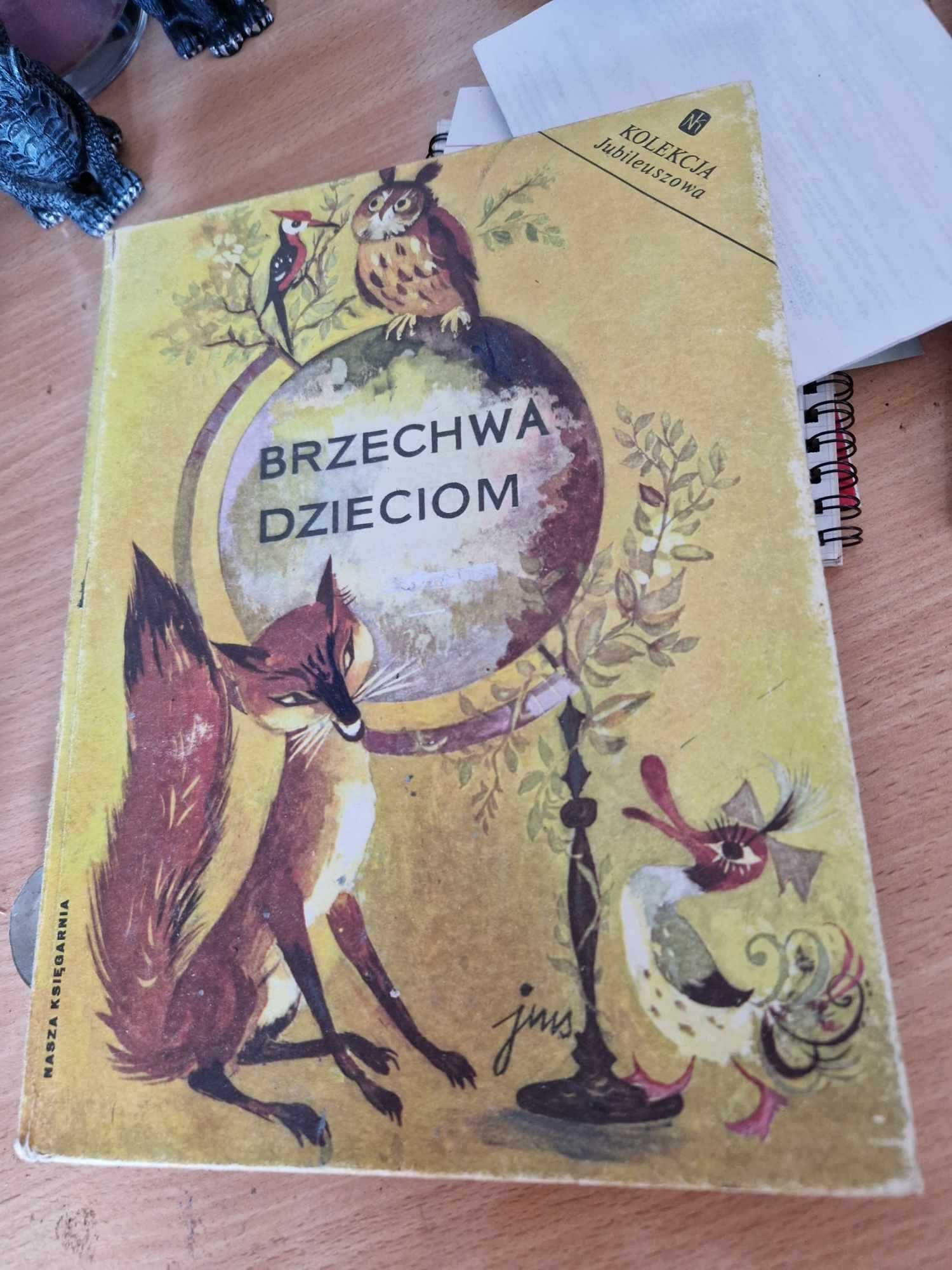 Brzechwa dzieciom książka