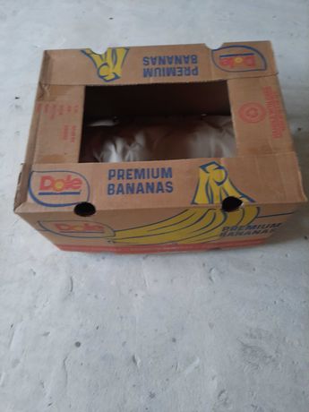 Kartony po bananach