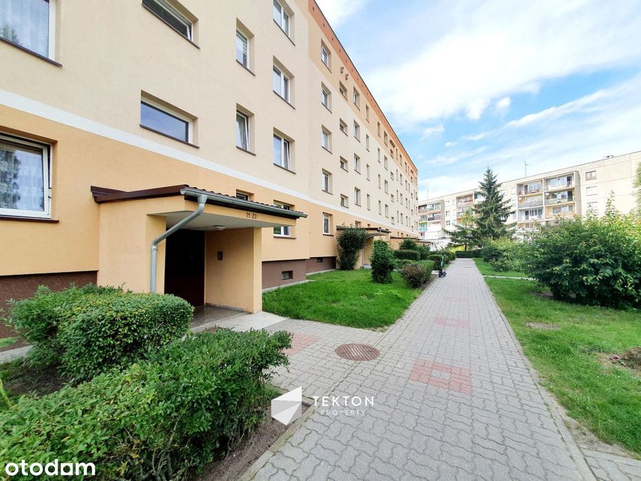 Mieszkanie 3 pokoje + aneks z kuchnią – parter, ba