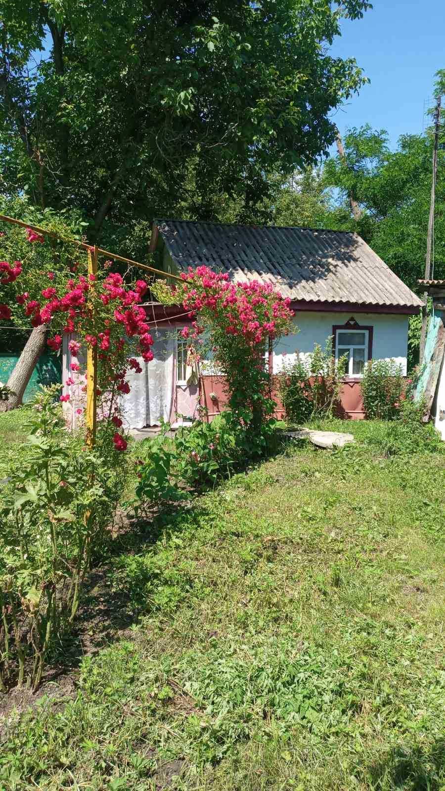 Будинок в с. Новий Биків