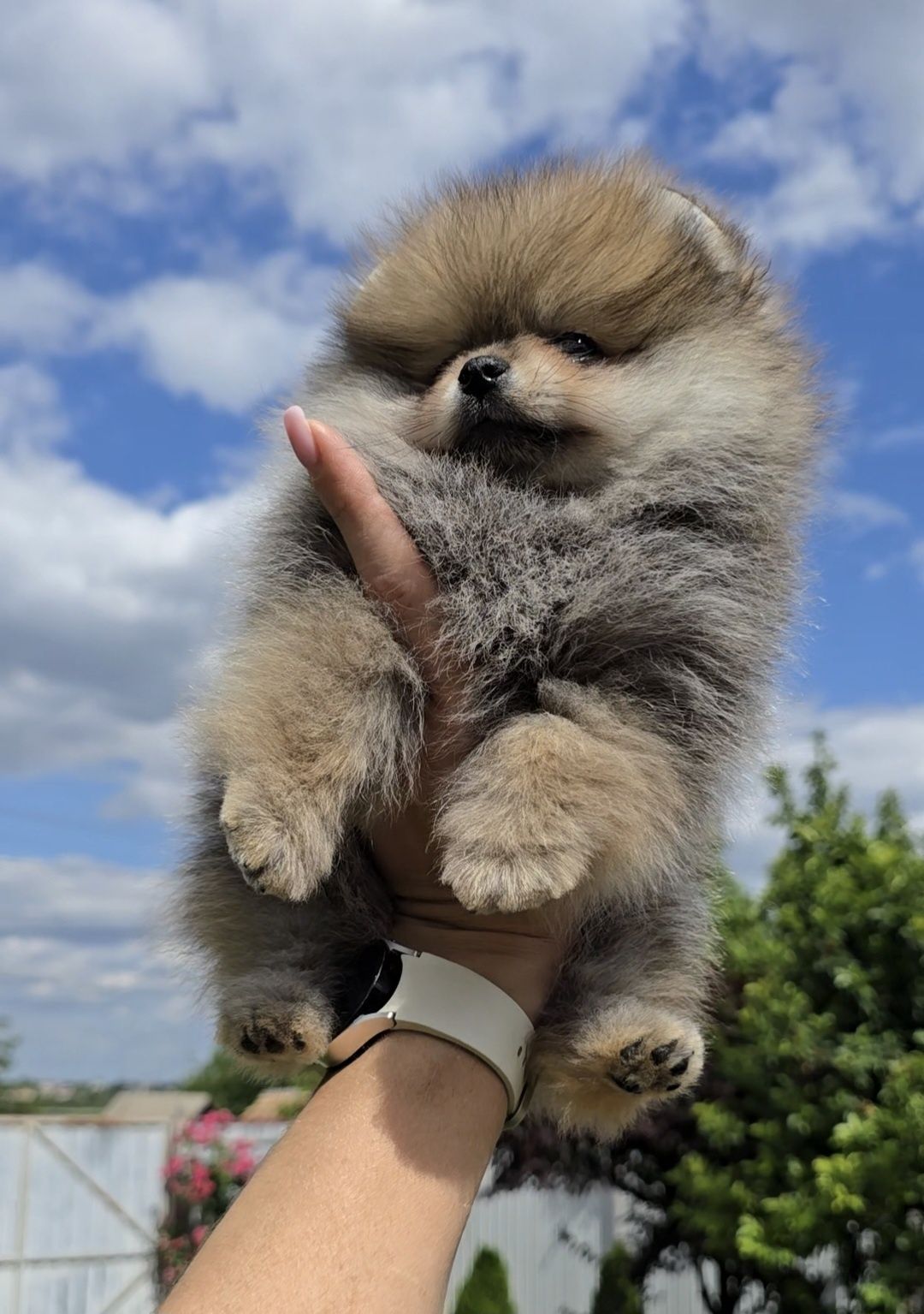Лялькові красуні . Супер міні.