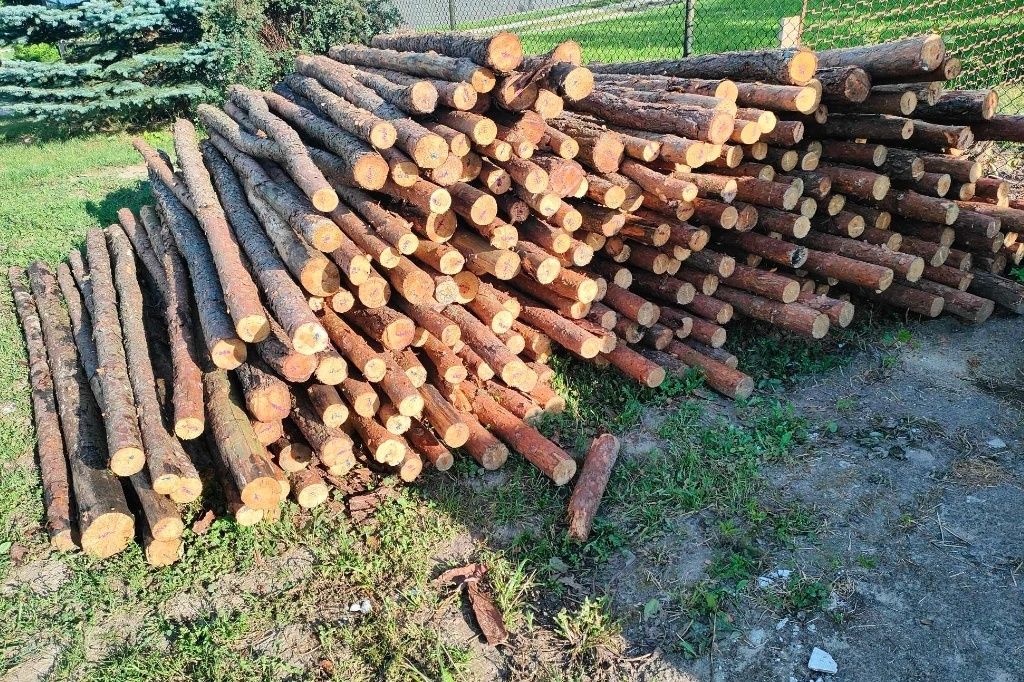 Stemple budowlane żerdzie drewniane