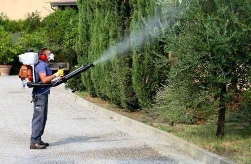 Обработка деревьев, участков от комаров, клещей, болезней