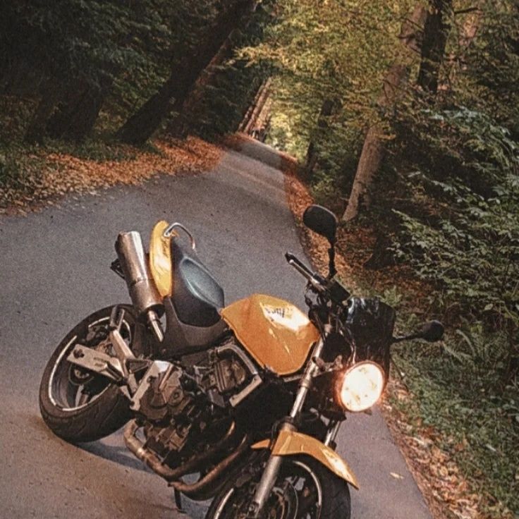 Honda Hornet 600