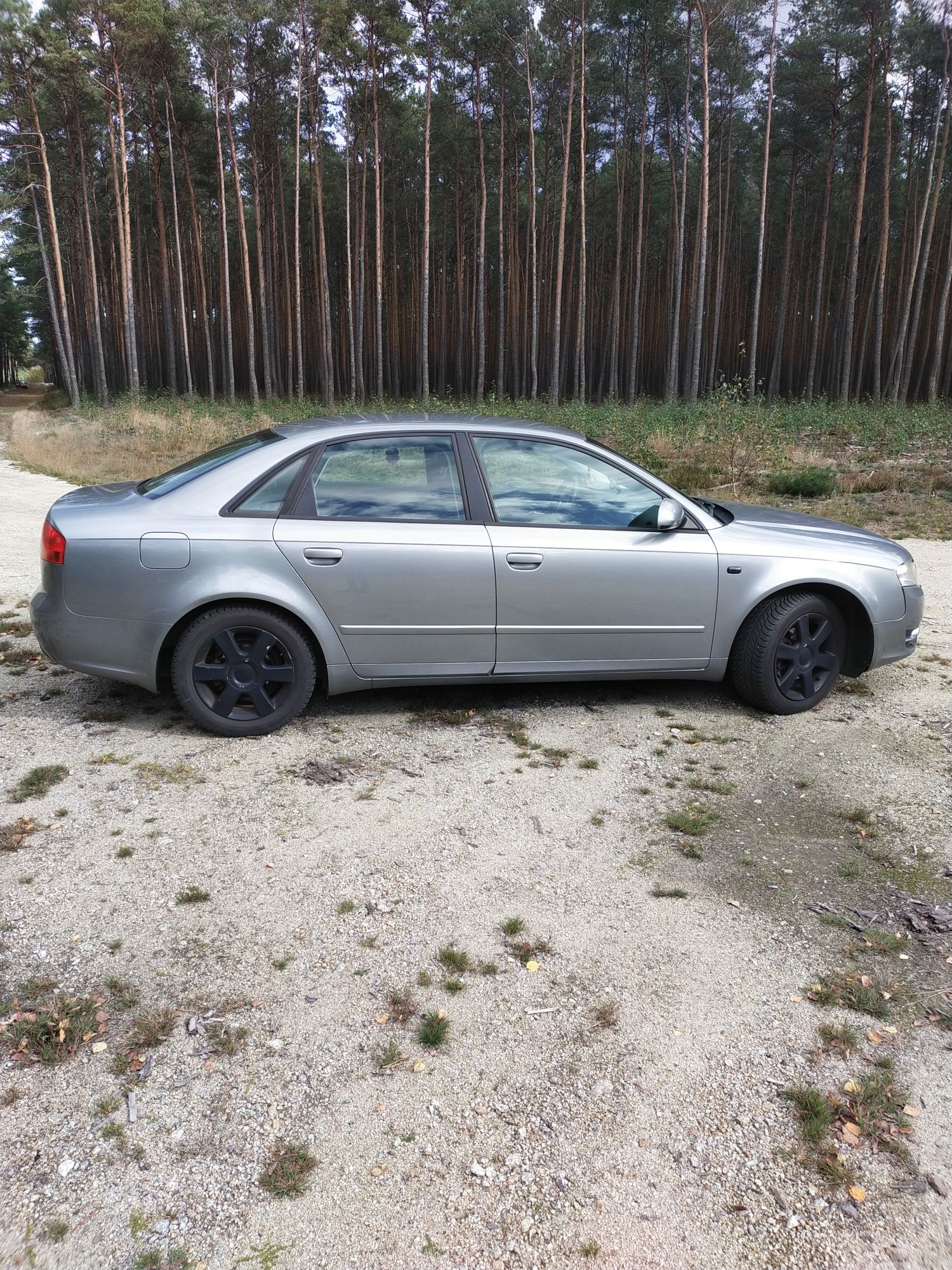 Audi A4 B7 1.6 benzyna plus gaz. Wsiadać  i jechać .