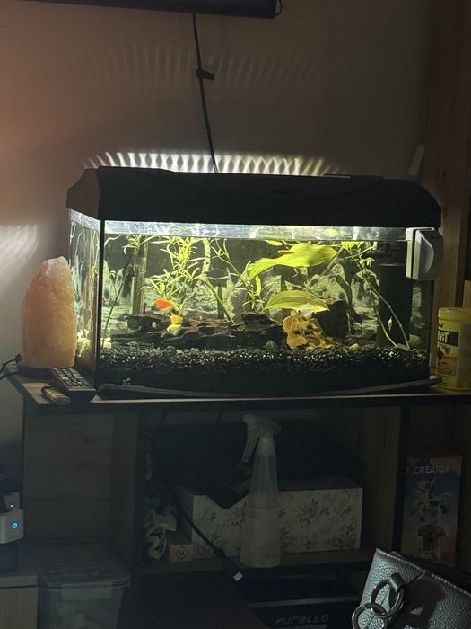 Akwarium Diversa 60l
