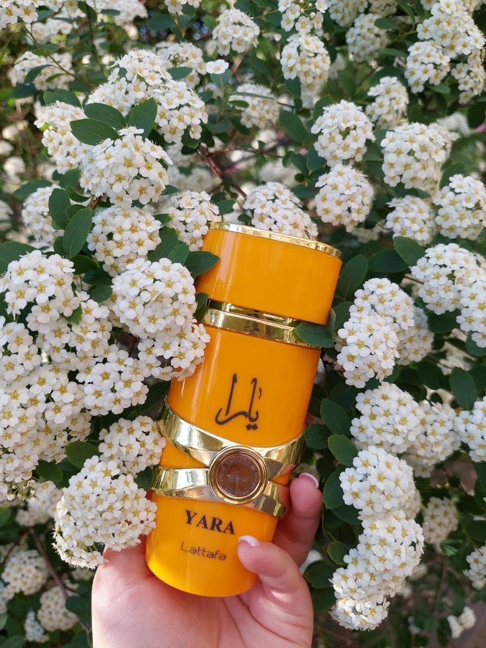 Lattafa парфюм Lattafa Perfumes Yara Tous (Латтафа Парфюм Яра