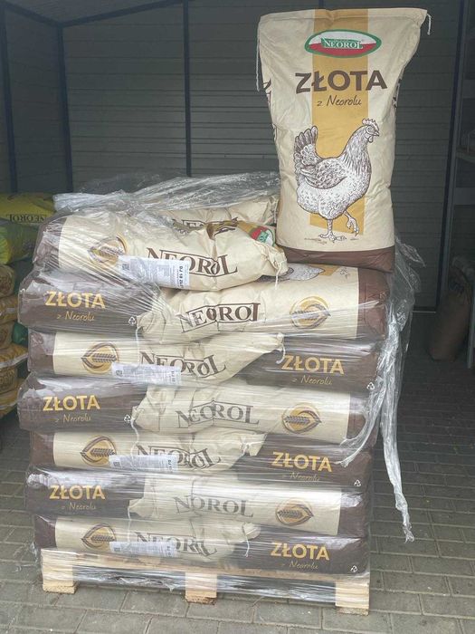 Najlepsza pasza dla kur niosek Złota Neorol