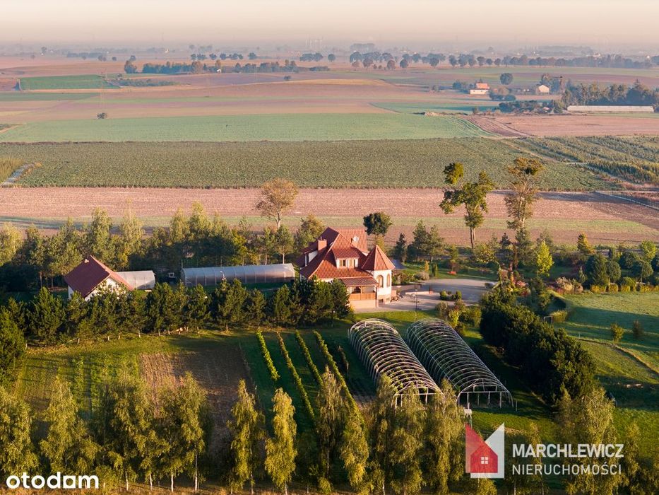 Urokliwa posiadłość | winnica | stawy | gaj figowy
