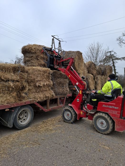 Miniładowarka schaffer na wynajem bez operatora