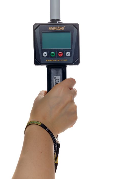 Wykrywacz rui, owulacji dla świń