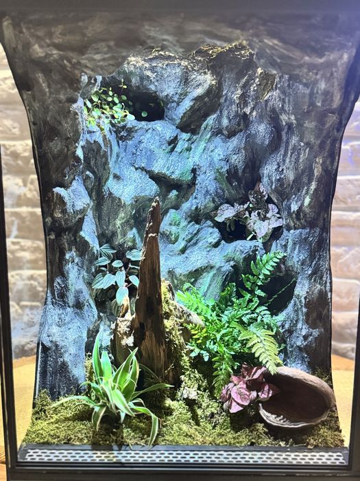 Terrarium tropikalne 40x40x60 idealne dla gekona