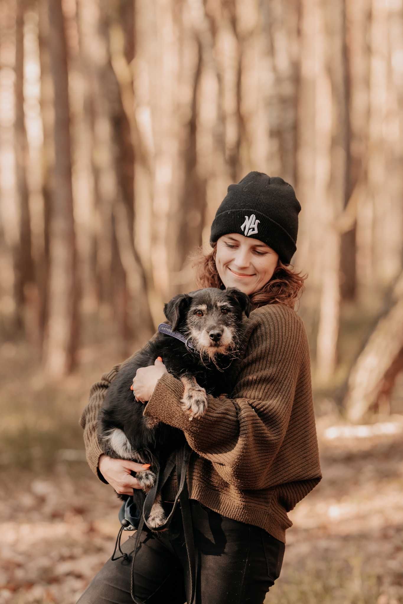 Sid nie chce umrzeć w schronisku... Pomożesz mu? Adoptujesz?