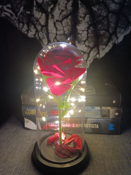 A Bela e o monstro Rosa eterna vermelha