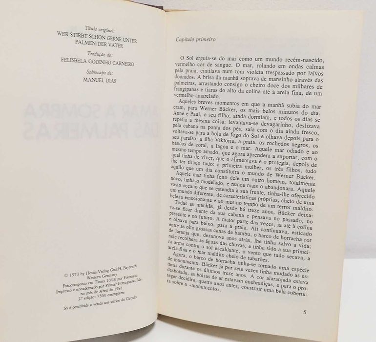 Livro - Amar à Sombra das Palmeiras