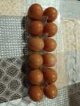 Ovos de galinha caseiros