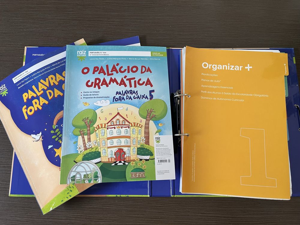 Manual do professor Palavras fora da caixa 5 ano