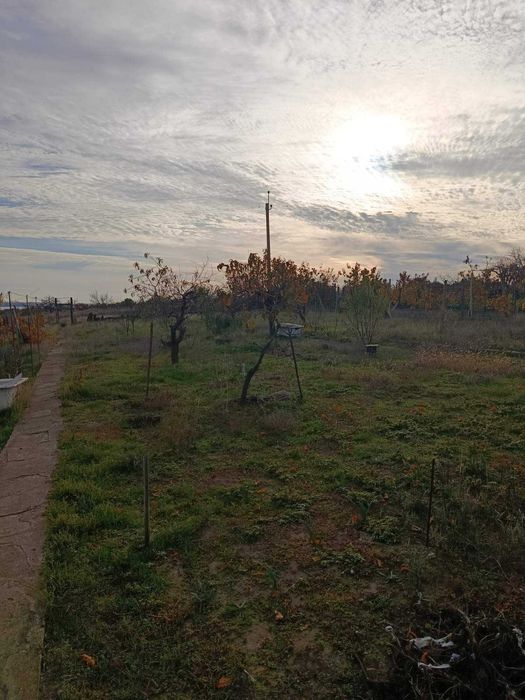 Продам 3 кімн будинок з газом,17 сот,Радсад,Миколаївська область