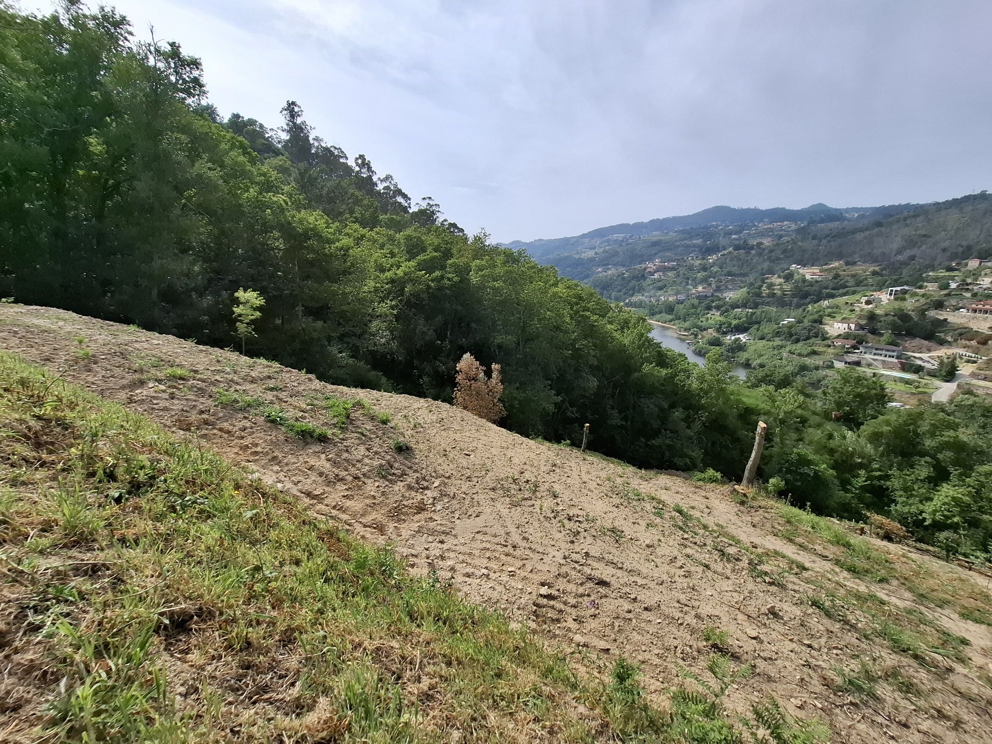 Ruína de moinho, ribeiros, nascente e vista Douro - 3.860m² - Cinfães