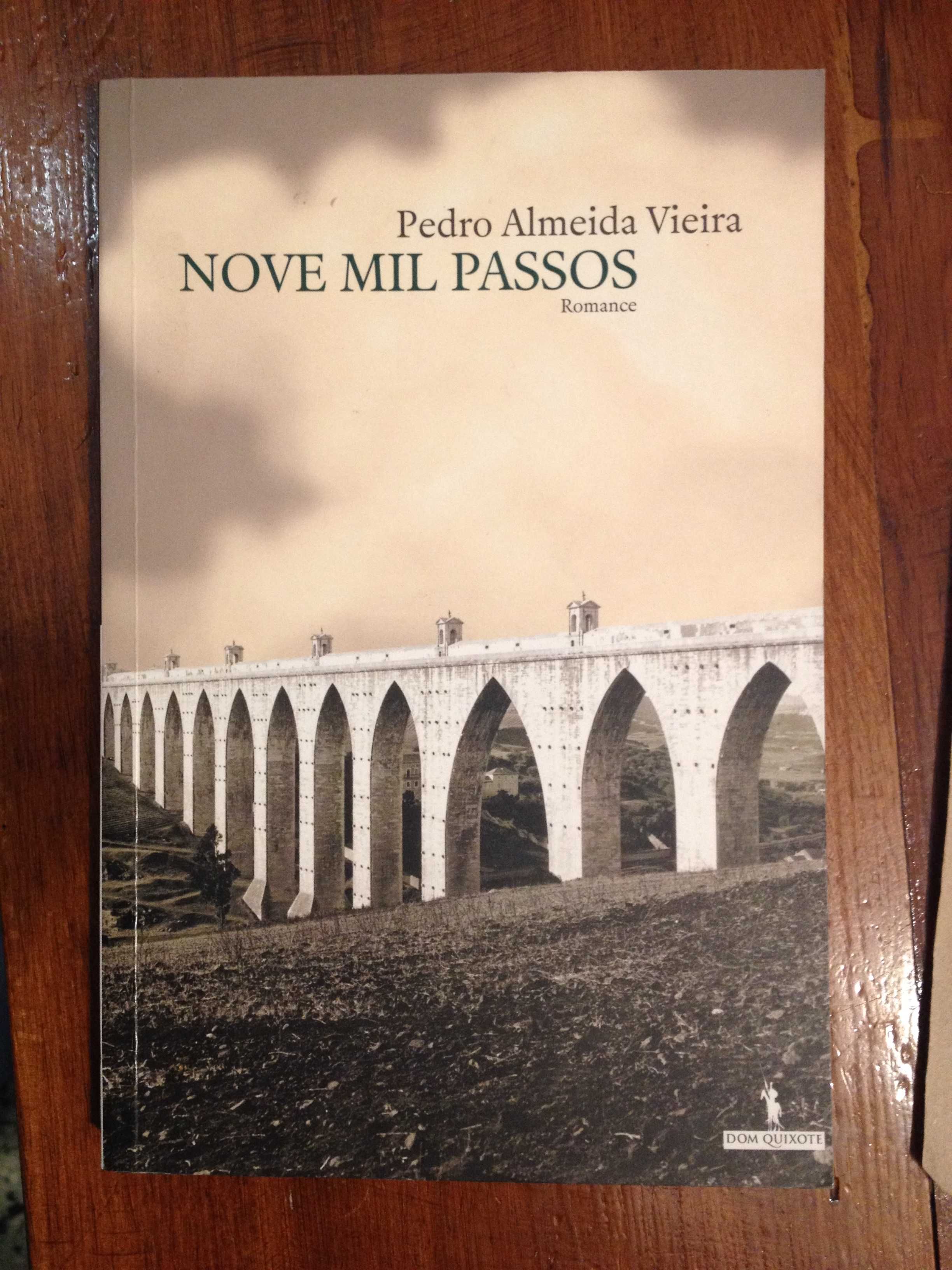 Pedro Almeida Vieira - Nove mil passos