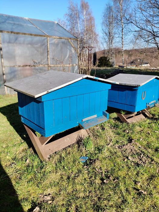 Ule wielkopolskie 10ramkowe oraz ul Wielkopolski leżak drewniane