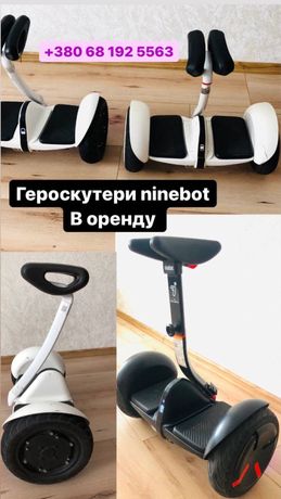 Прокат -Оренда героскутер Sigway-Ninebot