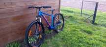 Kellys spider 30