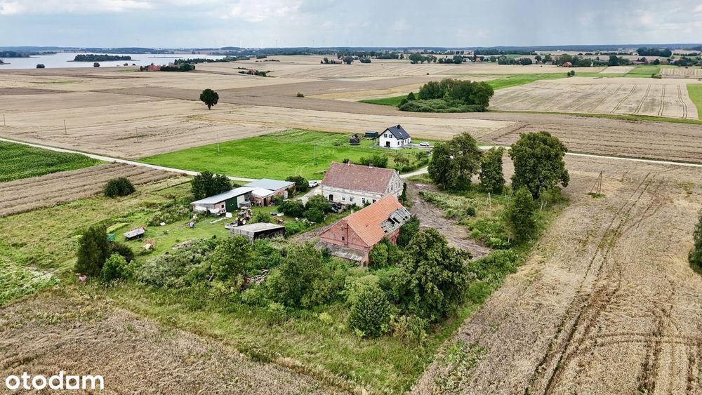 100-letni bliźniak pod Prabutami, blisko jeziora