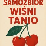 Sprzedam wiśnie z własnego sadu samozbiór!