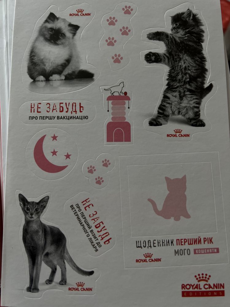 Щоденник «Перший рік мого кошеняти»