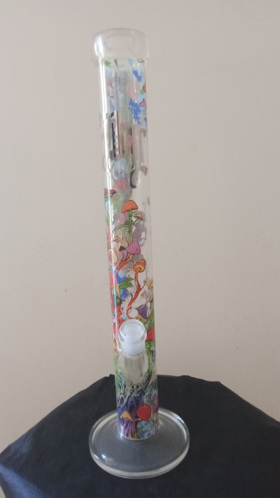Cogumelos multicolor