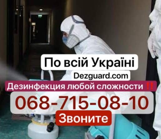 Дезинфекция от запаха - Травля насекомых , клопы , озон , плесень !