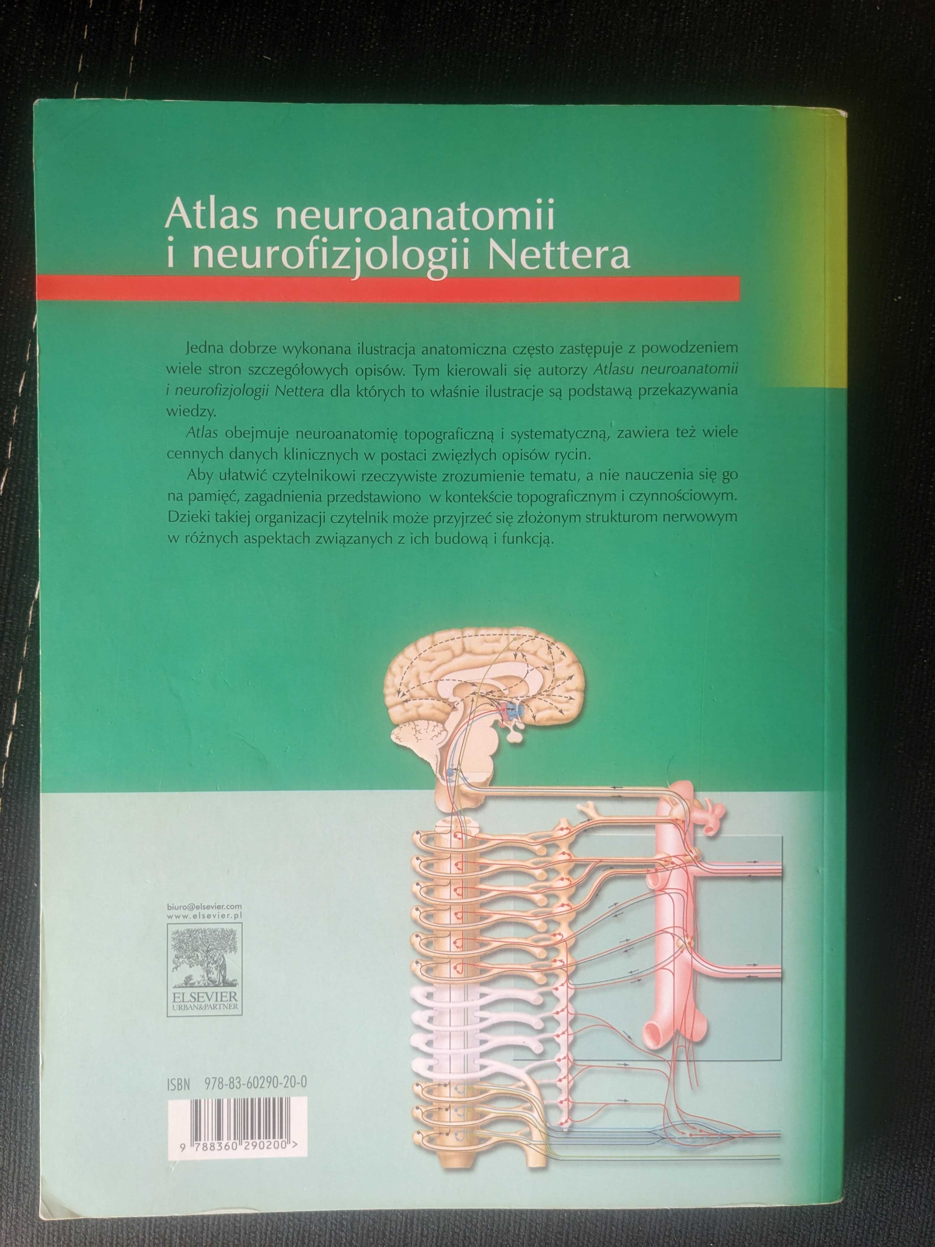 Atlas neuroanatomii i neurofizjologii Nettera