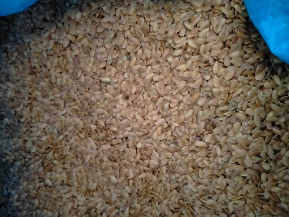 Sprzedam olej Lniany tłoczony na zimno.