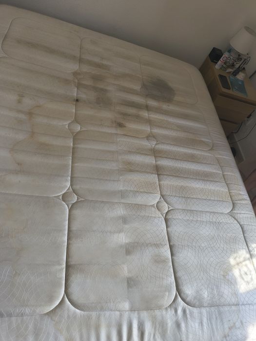 Sofás colchões tapetes