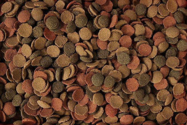 glopex small-wafers pokarm dla ryb ze spiruliną i szpinakiem  200g
