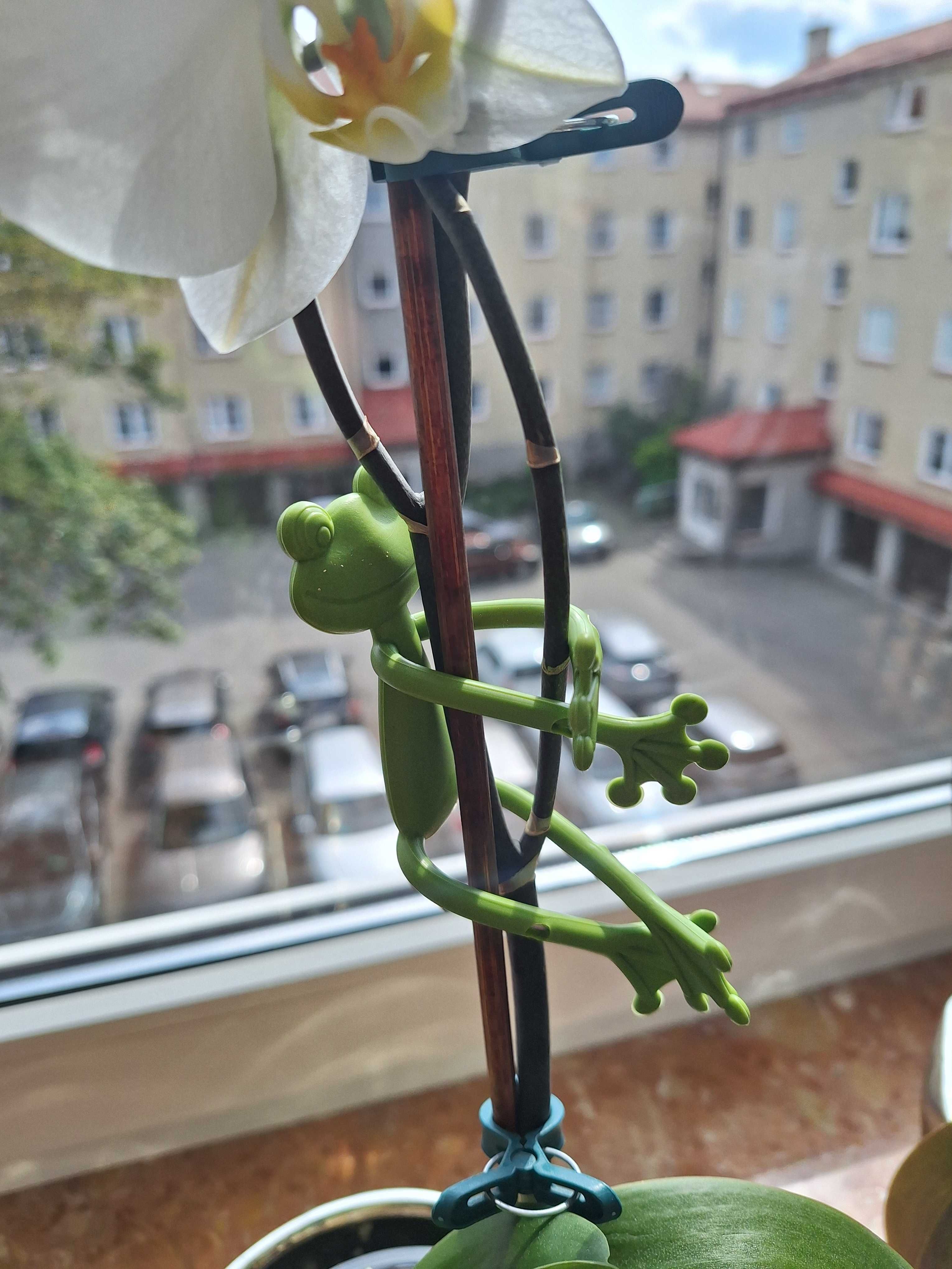 4 szt żaby podpórki do roślin