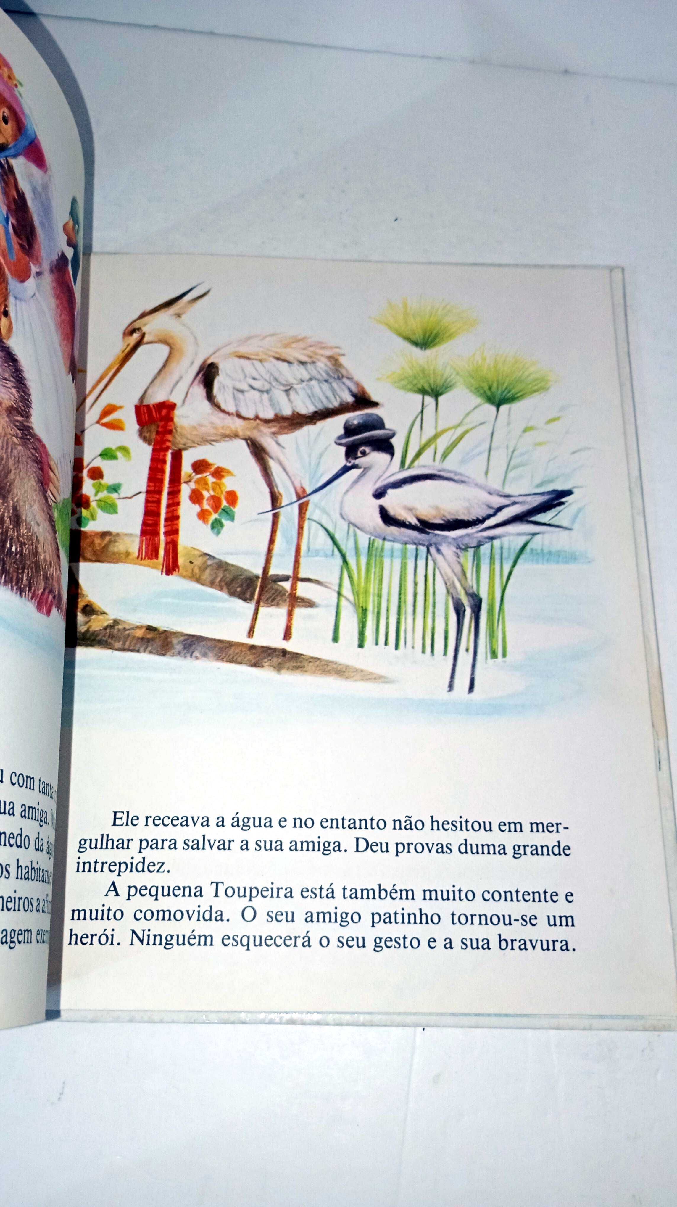A Pequena Família Pato