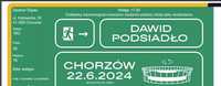 Bilet na Dawida Podsiadło Chorzów 22.06.2024