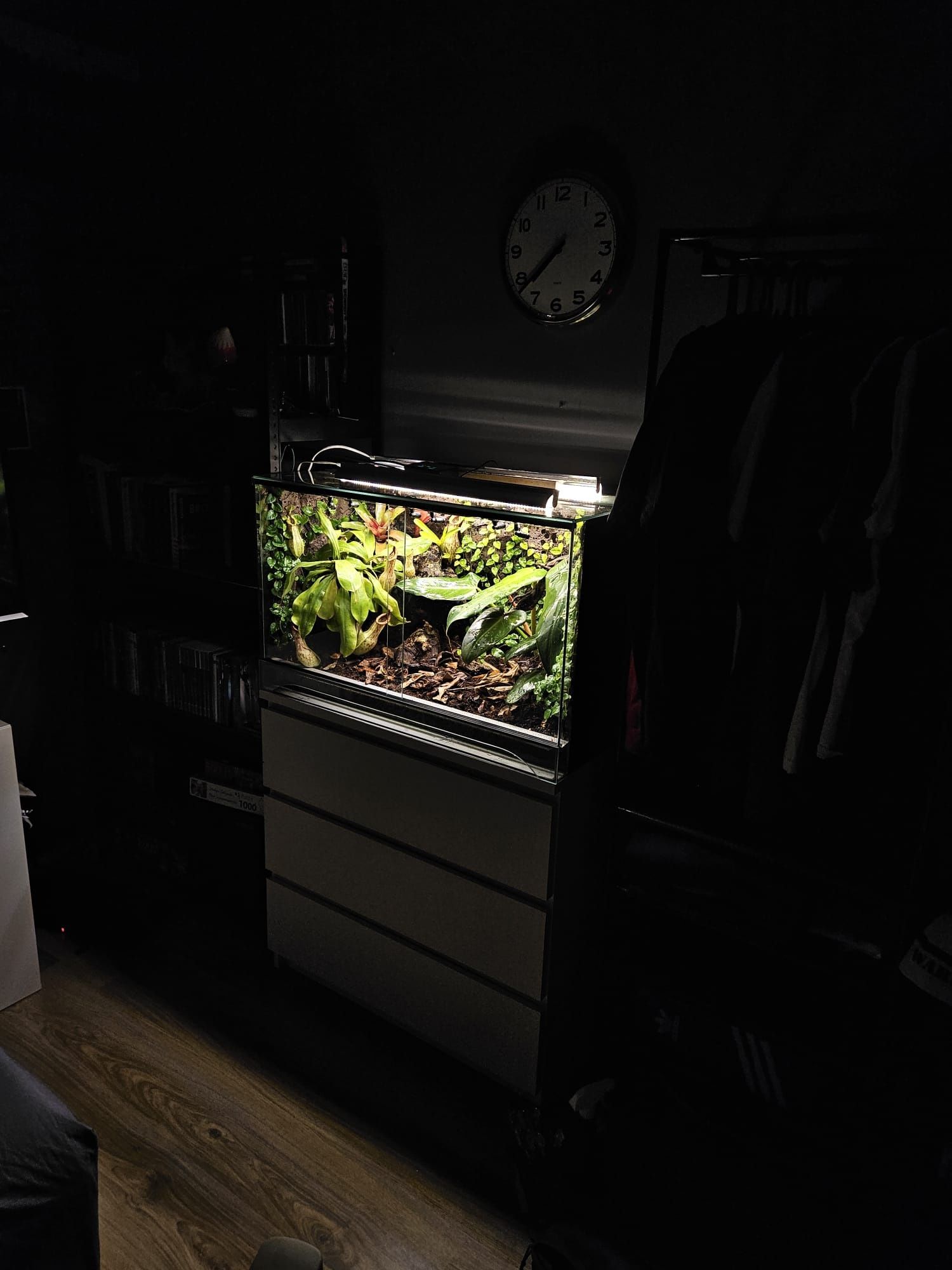 Terrarium tropikalne vivarium 80x50x45