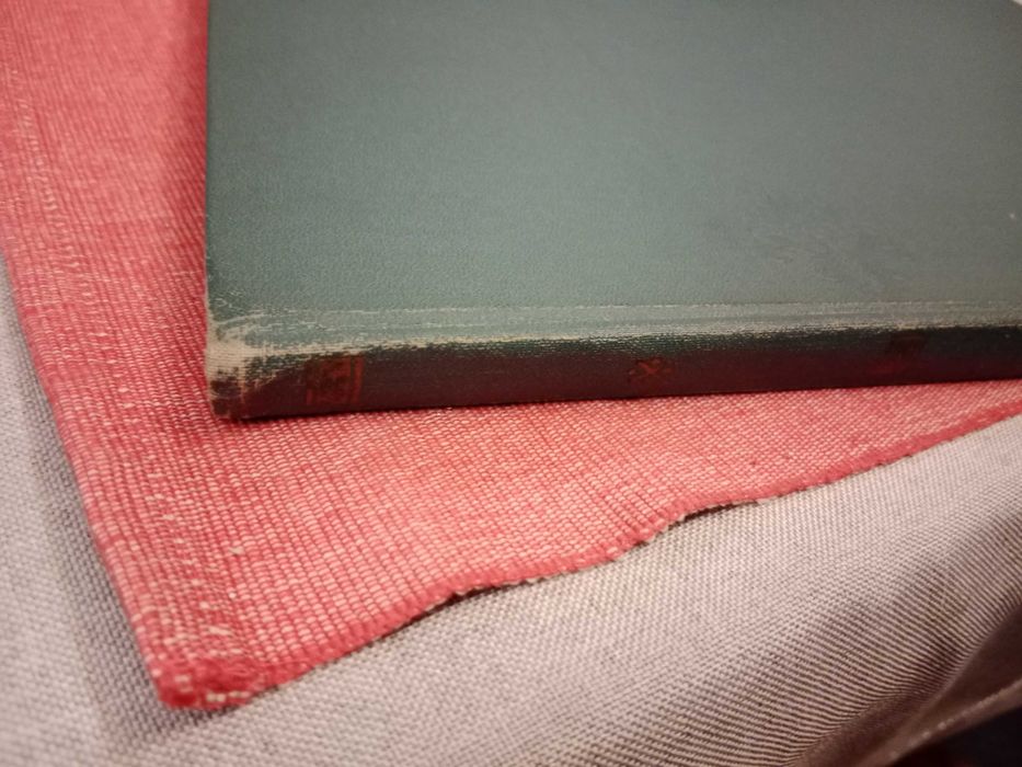 Album rosyjskie malarstwo, życie w XIX wieku