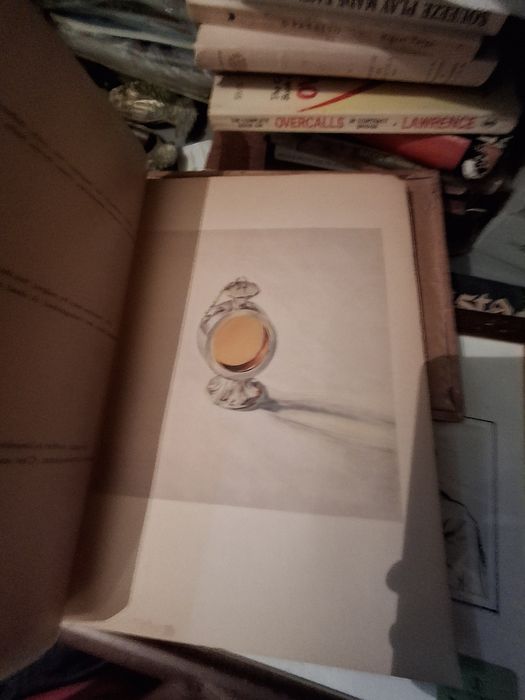 Livro cor do vinho do Porto sua evolução