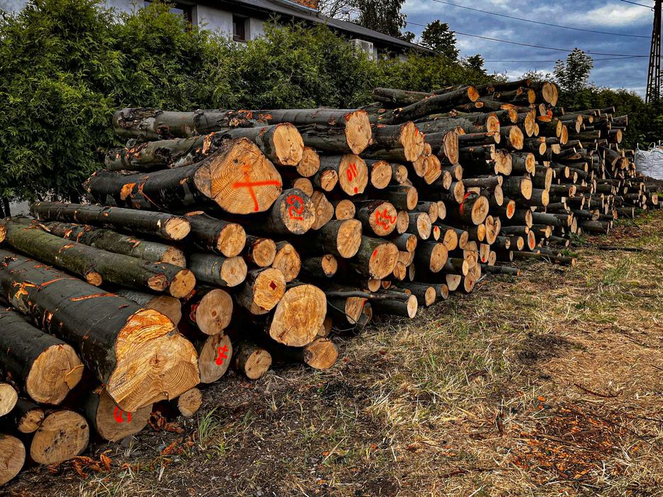 Drewno kominkowe opałowe DĄB BUK BRZOZA SOSNA OLCHA Transport GRATIS